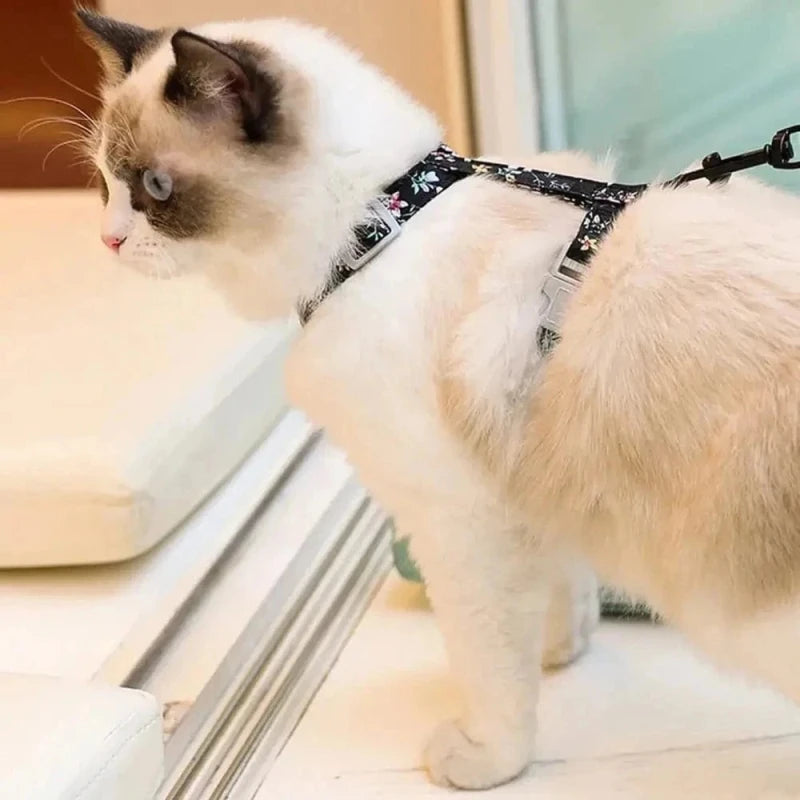 Harnais chat anti-étranglement - Libération rapide | BreakSafe