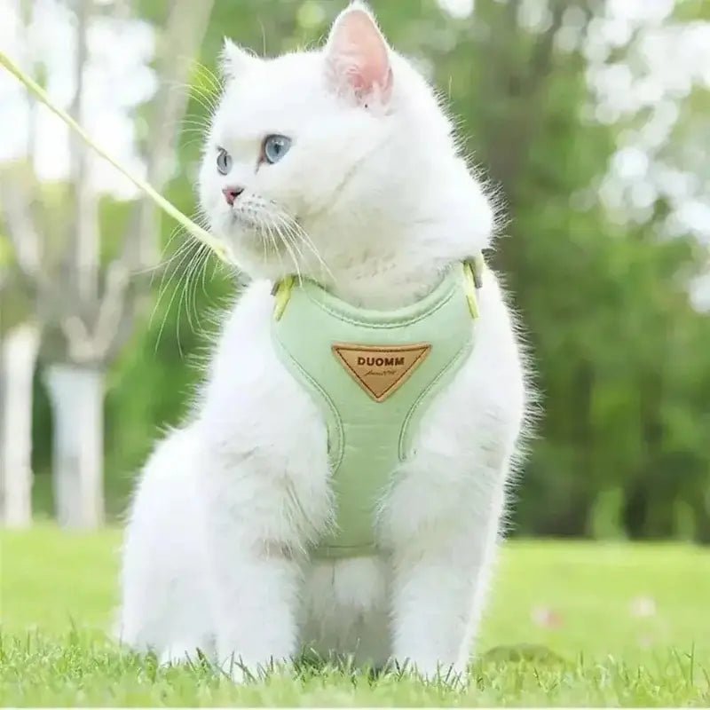 Harnais chat Duomm - Ajustable et anti-fugue