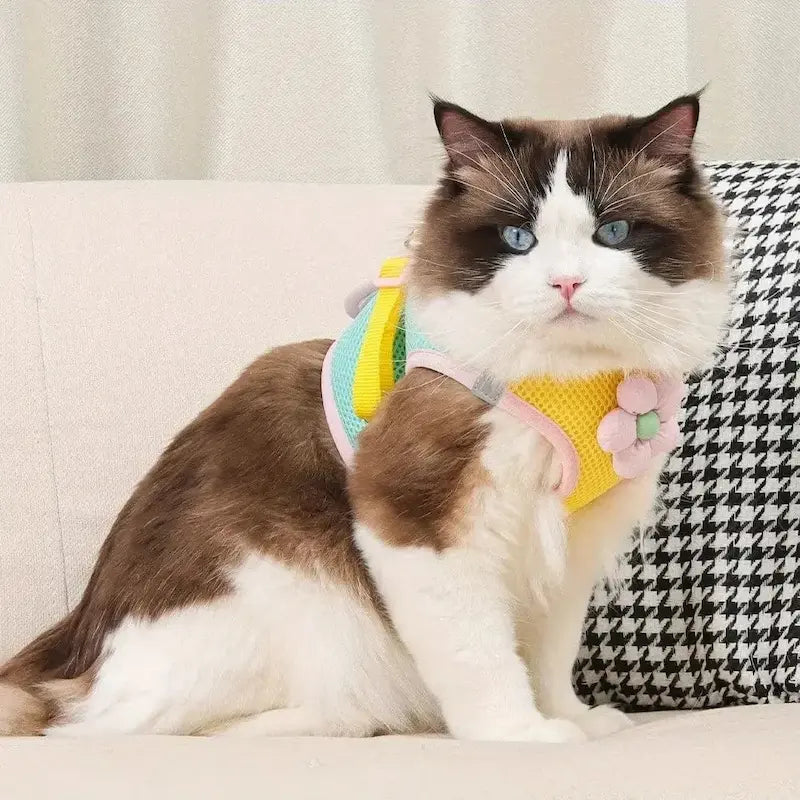 Harnais chat fleuri