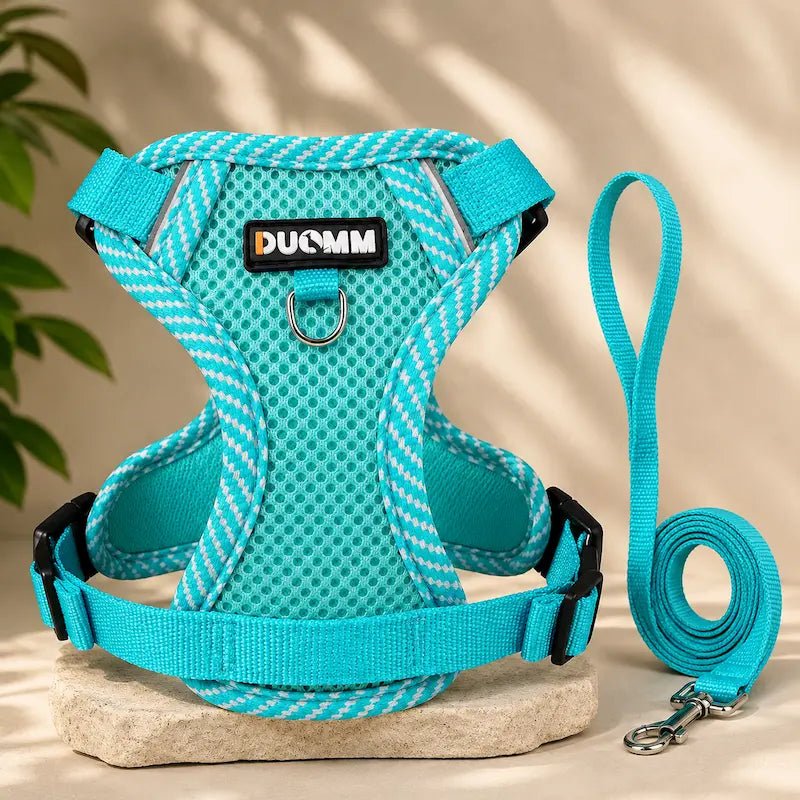 Harnais en nylon pour chat - Sécurité & confort | Duomm
