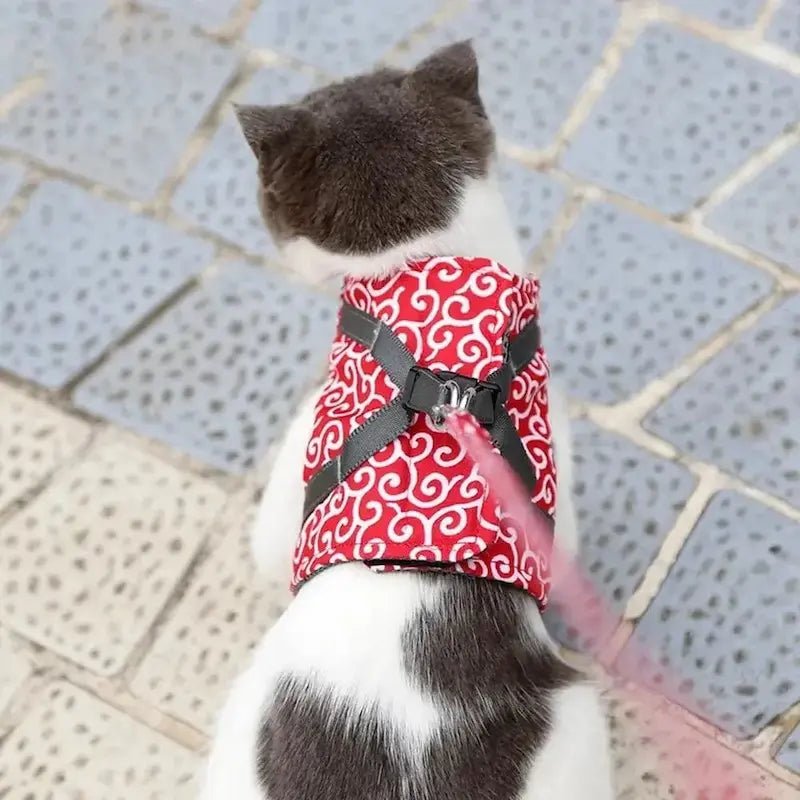 Harnais veste chat - Confort & sécurité | PurrVest