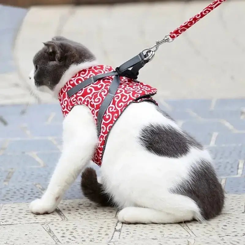 Harnais veste chat - Confort & sécurité | PurrVest