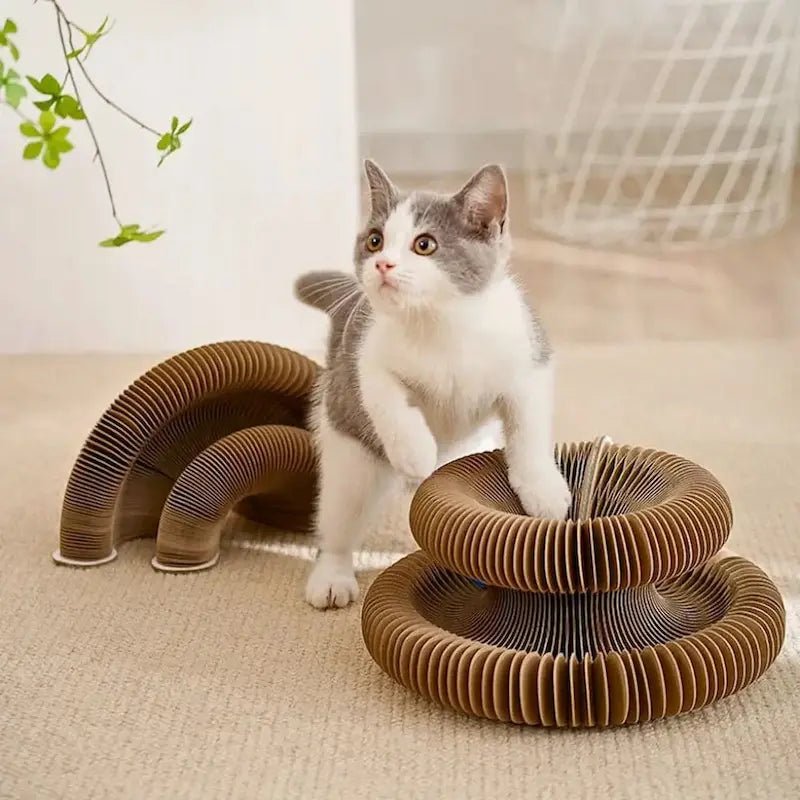 Jouet griffoir chat balle - Anti-ennui | Scratch&Play