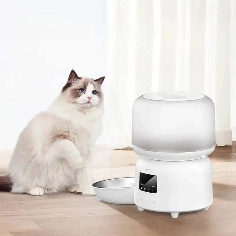 Mangeoire automatique chat – Repas programmés | AutoFeed