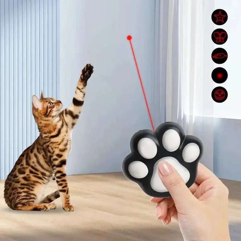 Mini laser chat – Jeu instinctif anti-ennui | FeliBeam