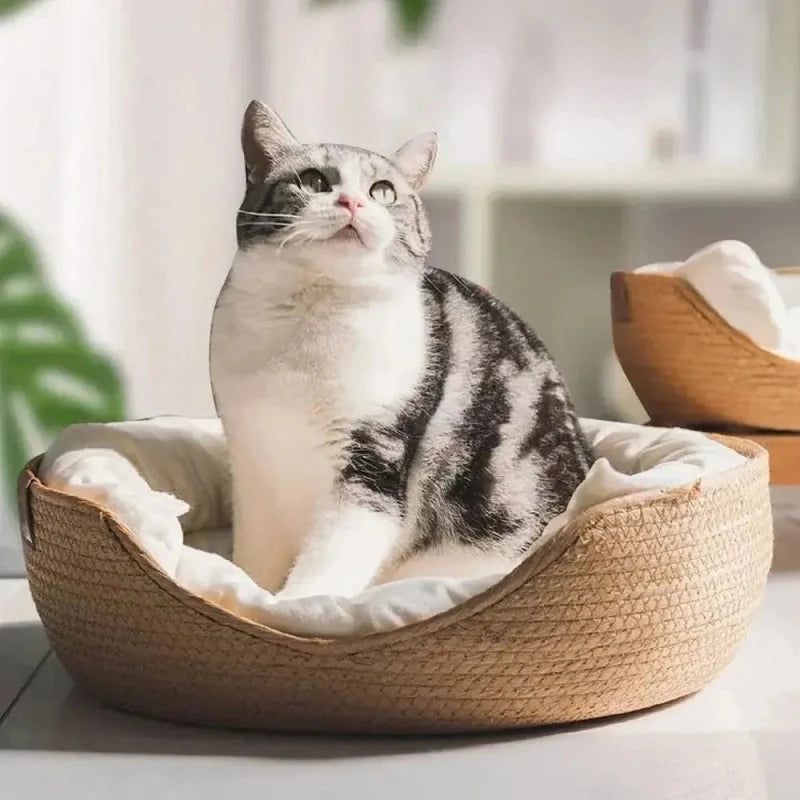 Panier chat bambou naturel - Confort et élégance | CozyBamboo