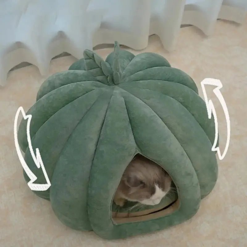 Panier chat citrouille - Confort cocooning | Catélia