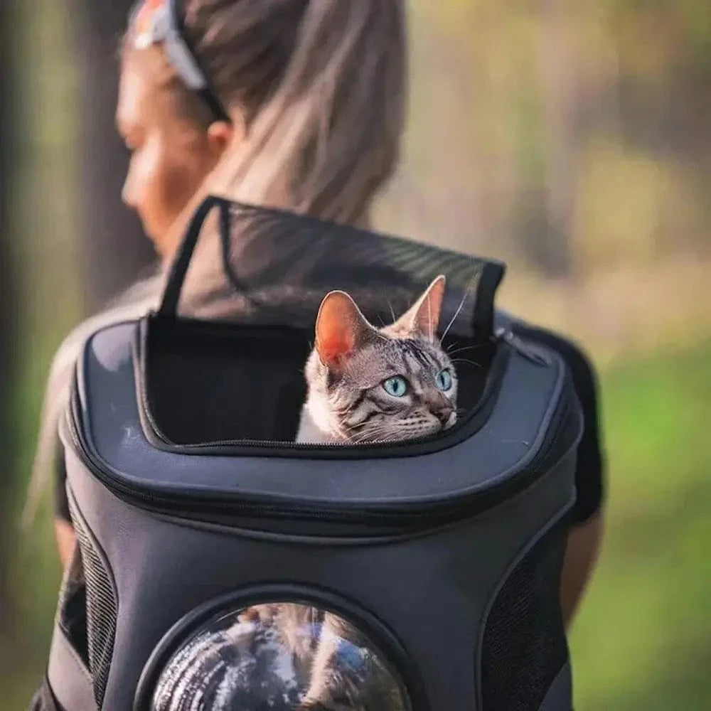 Sac à dos chat astronaute - Voyage confortable et sécurisé Griffe d'Amour