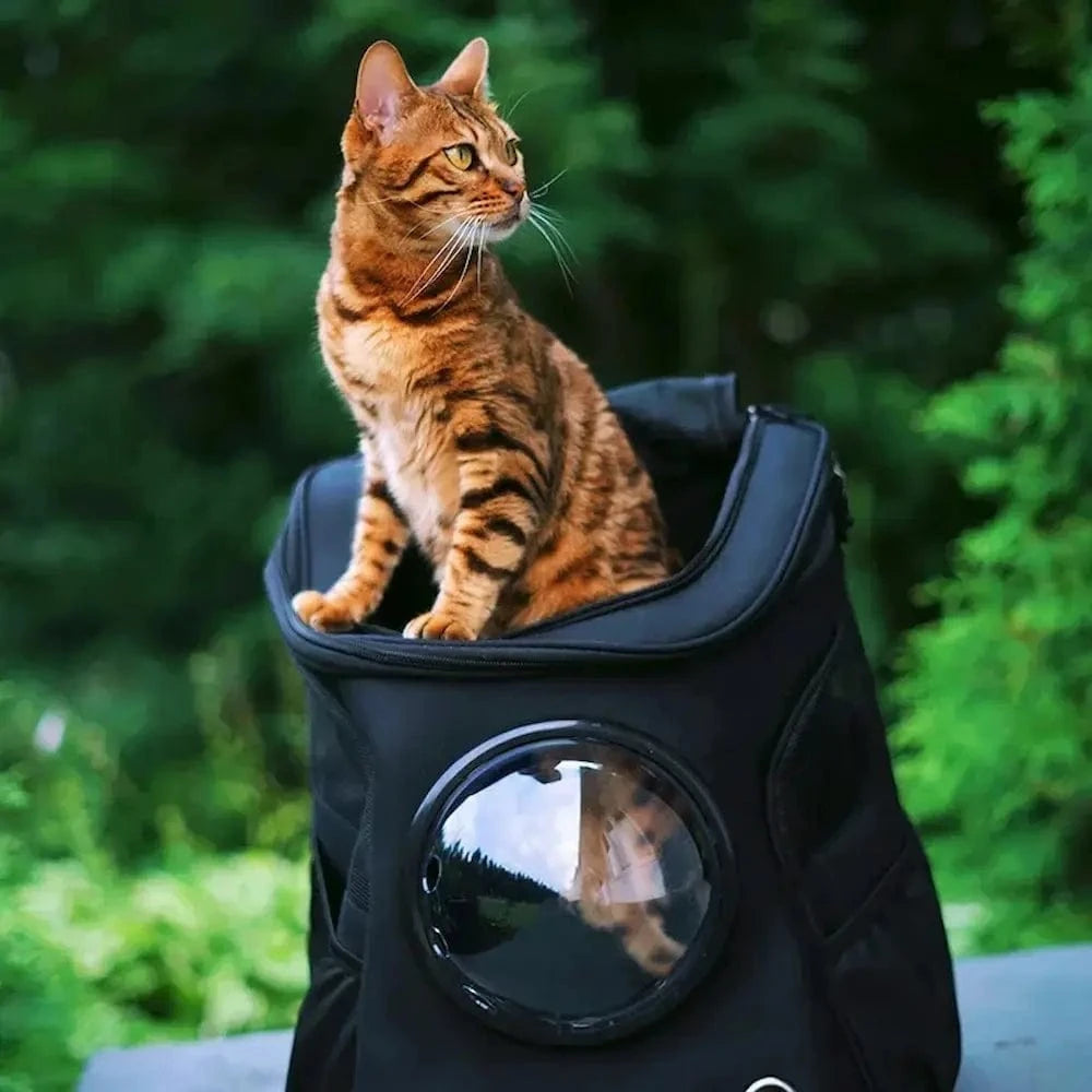 Sac à dos chat astronaute - Voyage confortable et sécurisé Griffe d'Amour