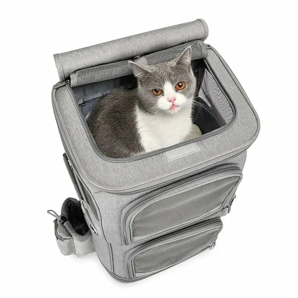 Sac de transport à roulettes pour 2 chats - Ultra confort Griffe d'Amour