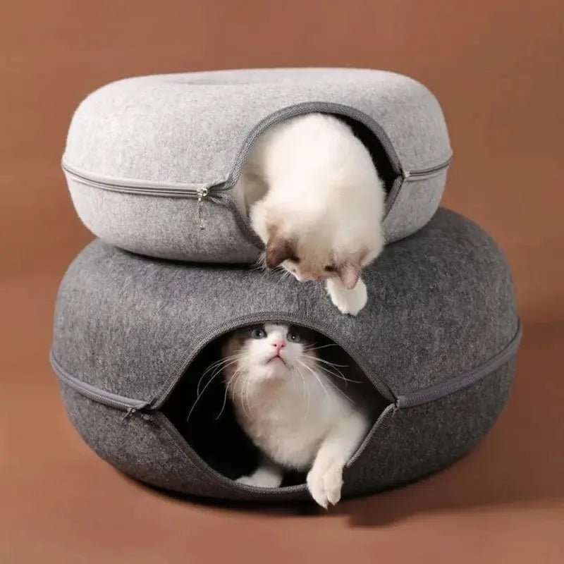 Tunnel donut chat - Cachette fun & anti-ennui | PawsDonut