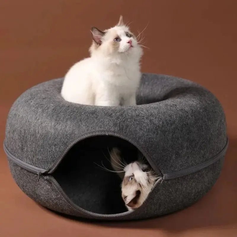Tunnel donut chat - Cachette fun & anti-ennui | PawsDonut