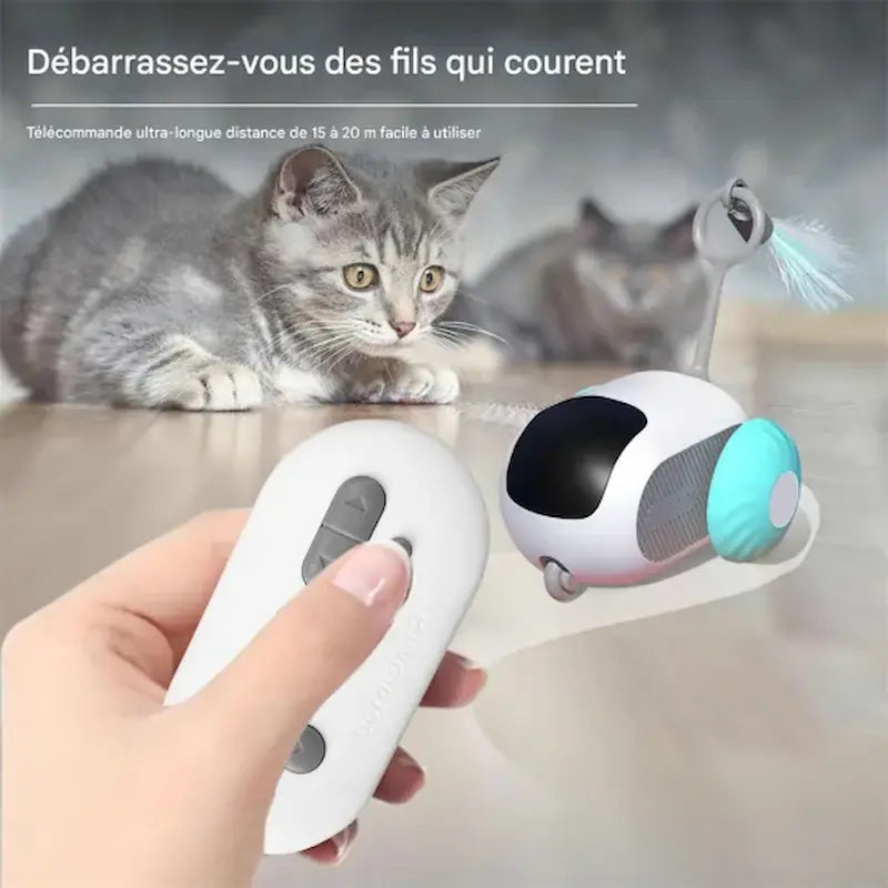 Voiture télécommandée chat 